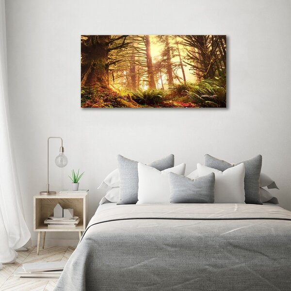Foto obraz sklo tvrzené Dešťový prales osh-49624439