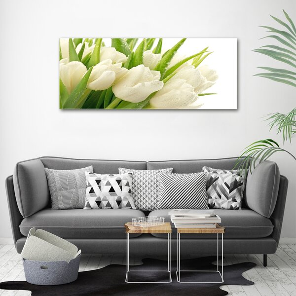 Foto obraz tištěný na plátně Bílé tulipány oc-49549577