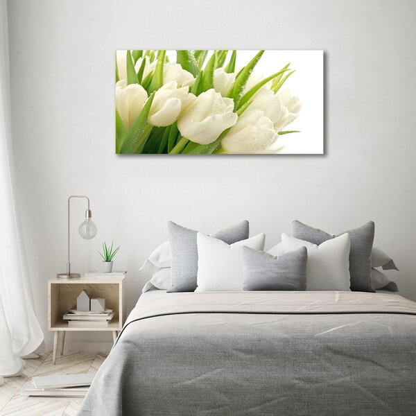 Foto obraz tištěný na plátně Bílé tulipány oc-49549577