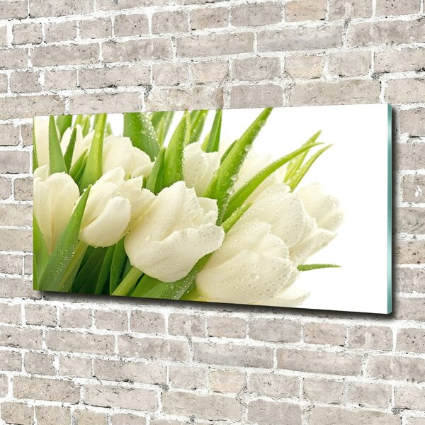 Moderní foto obraz na stěnu Bílé tulipány osh-49549577