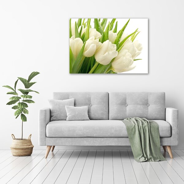 Foto obraz tištěný na plátně Bílé tulipány oc-49549577