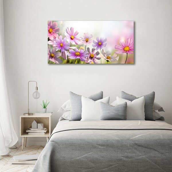 Foto obraz canvas Květiny na louce oc-50039707