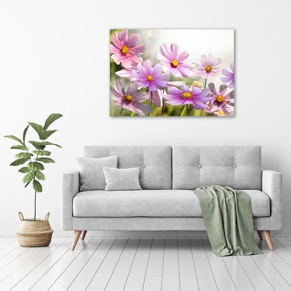 Foto obraz canvas Květiny na louce oc-50039707