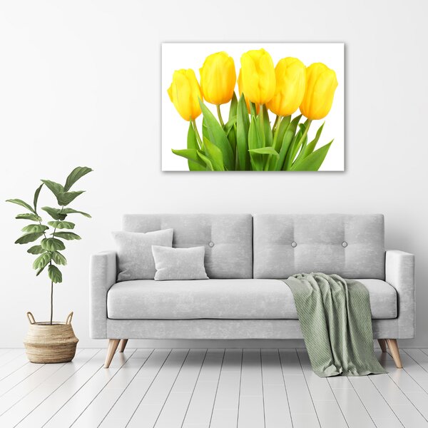 Foto-obrah sklo tvrzené Žluté tulipány osh-50296445