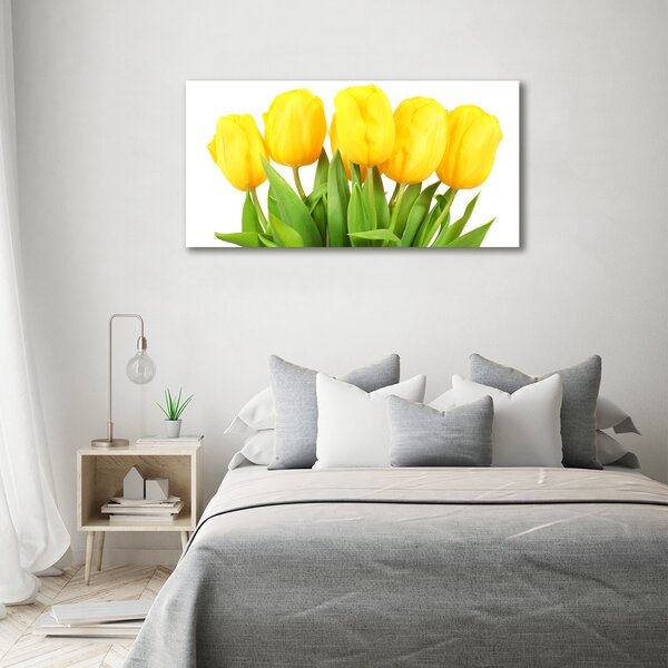 Foto-obrah sklo tvrzené Žluté tulipány osh-50296445