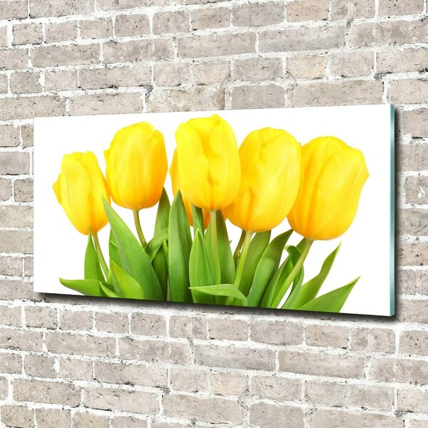 Foto-obrah sklo tvrzené Žluté tulipány osh-50296445