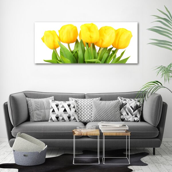 Foto-obrah sklo tvrzené Žluté tulipány osh-50296445