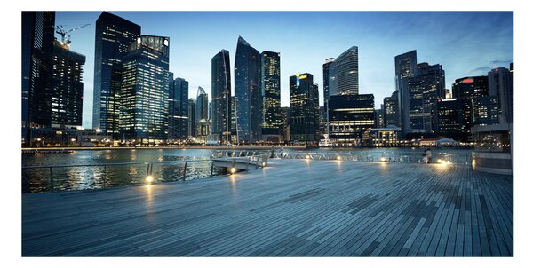 Foto obraz fotografie na skle Singapur noc osh-50961314