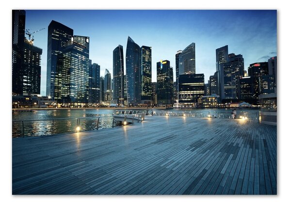 Foto obraz fotografie na skle Singapur noc osh-50961314