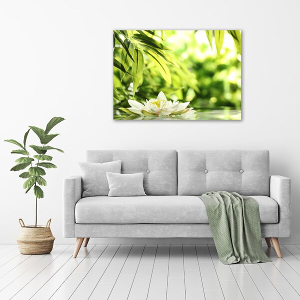 Moderní obraz canvas na rámu Vodní lilie oc-51529189