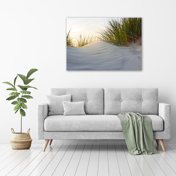 Foto obraz canvas Mořské duny oc-51837949