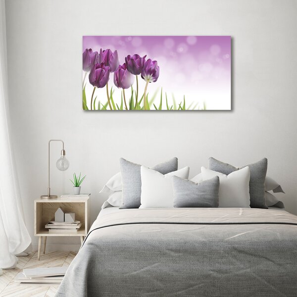 Foto obraz na plátně Fialové tulipány oc-52340543
