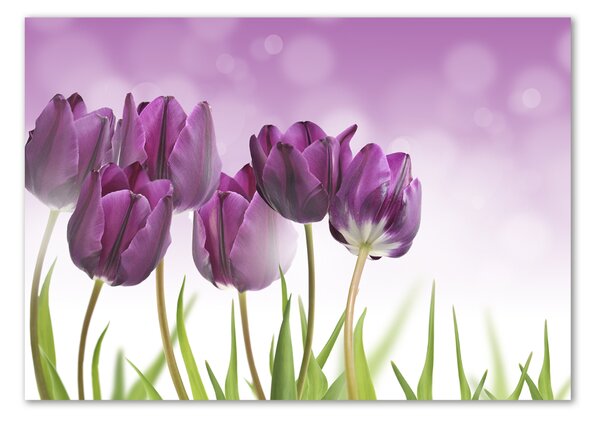 Fotoobraz na skle Fialové tulipány osh-52340543