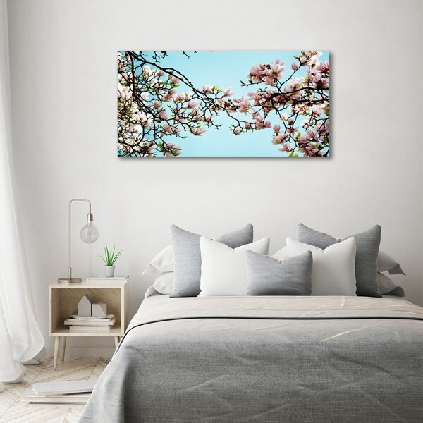 Fotoobraz na skle Květiny magnolie osh-52445180