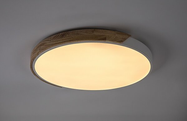 Rabalux 71419 LED přisazené stropní svítidlo Maple2 | 40W integrovaný LED zdroj | 3900lm | 3000/4000/6000K | bílá