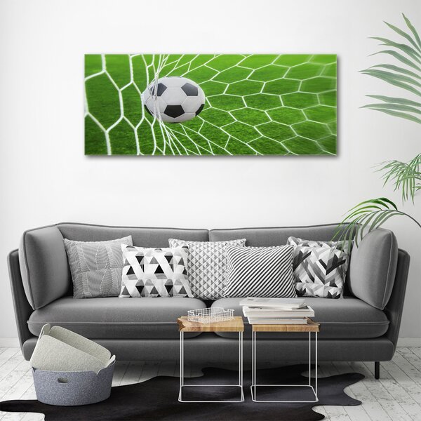 Foto obraz canvas Míč v bramce oc-52987773