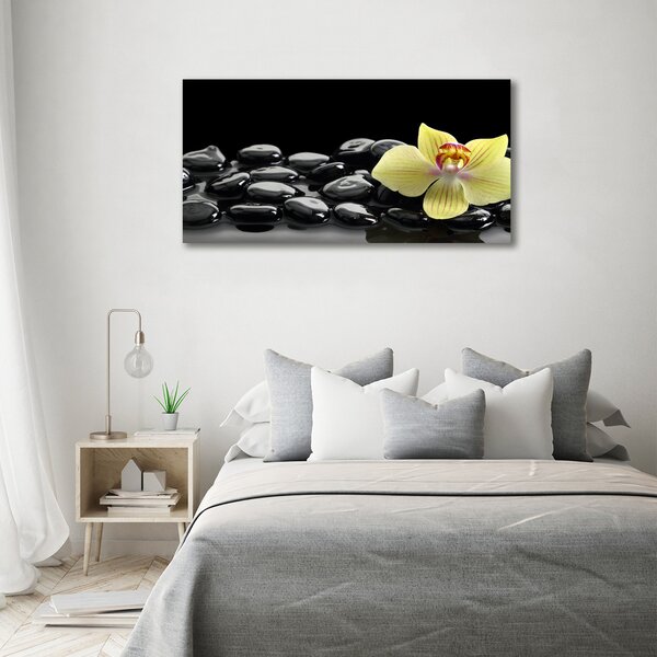 Foto obraz canvas Orchidej oc-53476359