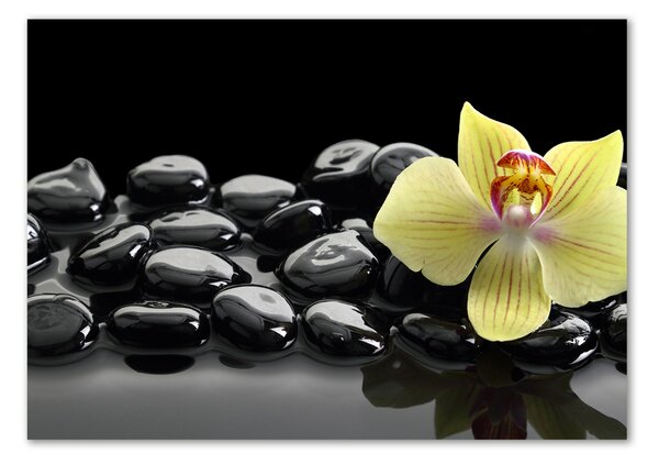 Foto obraz sklo tvrzené Orchidej osh-53476359