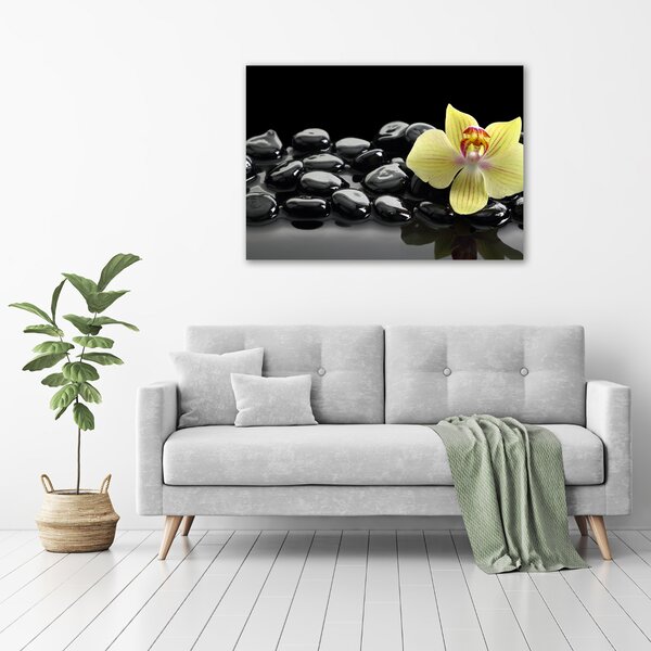 Foto obraz canvas Orchidej oc-53476359