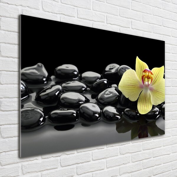 Foto obraz sklo tvrzené Orchidej osh-53476359