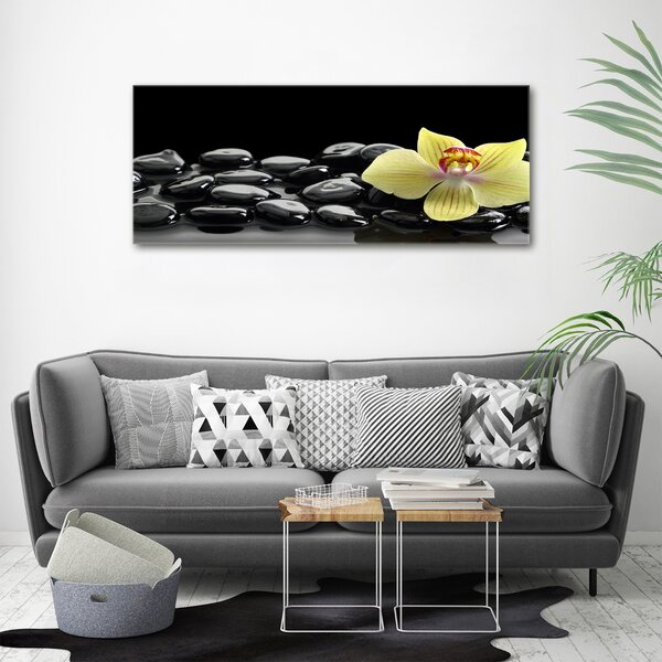 Foto obraz canvas Orchidej oc-53476359