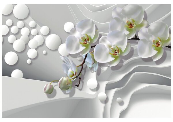 Tapeta orchidej na abstraktním pozadí