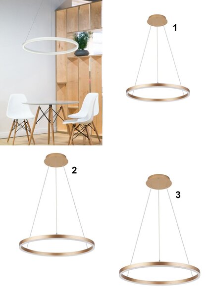 Palnas Závěsné LED svítidlo DONA ø 60 cm Barva: Černá, Stmívání, řízení: Dálkové ovládání (s dálkovým ovladačem)