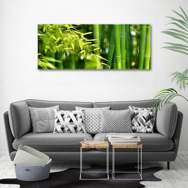 Foto obraz canvas Bambus oc-53968302