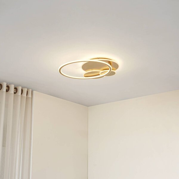 Lucande LED stropní svítidlo Circulo, zlaté, 60 cm stmívatelné, stmívatelný, Mosaz / zlato, Obývací pokoj / jídelna, kov, Moderní