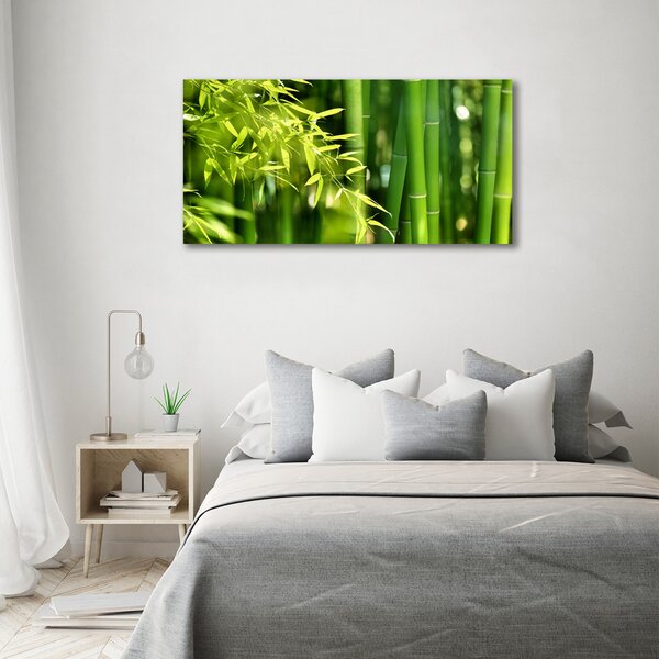 Foto obraz canvas Bambus oc-53968302