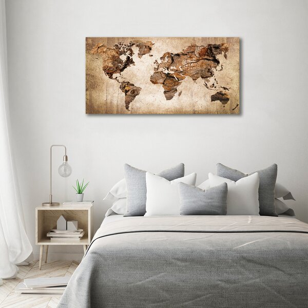 Foto obraz canvas Mapa světa dřevo oc-54299109
