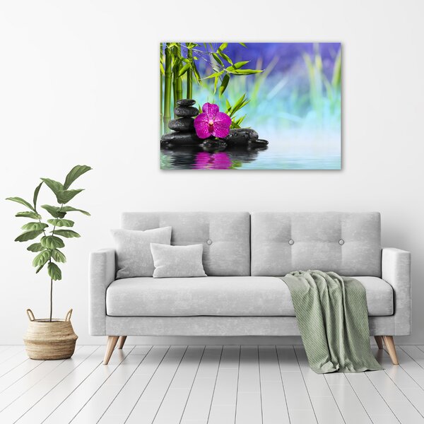 Foto obraz tištěný na plátně Orchidej bambus oc-54557063