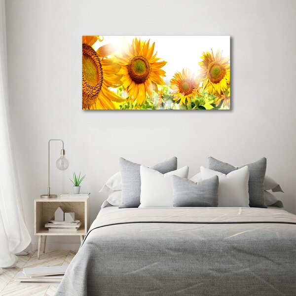 Foto obraz skleněný horizontální Slunečníky osh-55126306