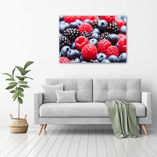 Foto obraz canvas Lesní ovoce oc-55354220