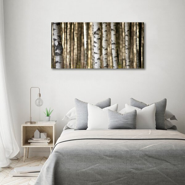 Moderní obraz canvas na rámu Břízy oc-56871841