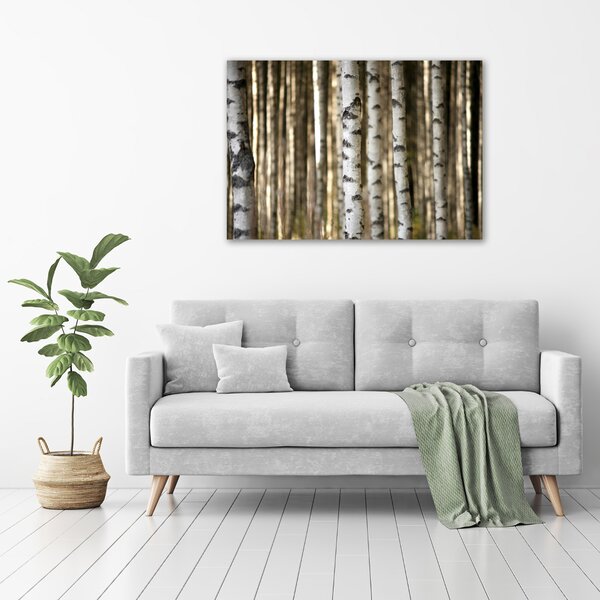 Moderní obraz canvas na rámu Břízy oc-56871841