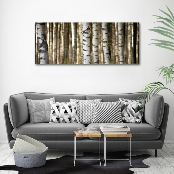 Moderní obraz canvas na rámu Břízy oc-56871841