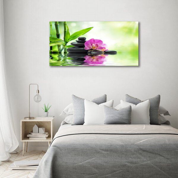 Foto obraz na plátně Orchidej oc-57168498