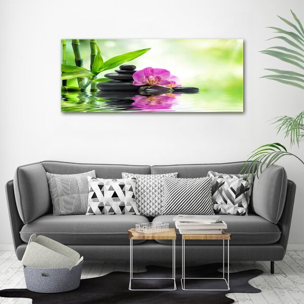 Foto obraz na plátně Orchidej oc-57168498