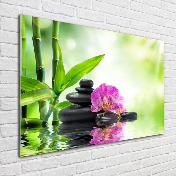 Fotoobraz na skle Orchidej osh-57168498