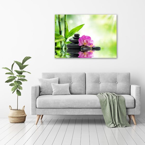 Foto obraz na plátně Orchidej oc-57168498