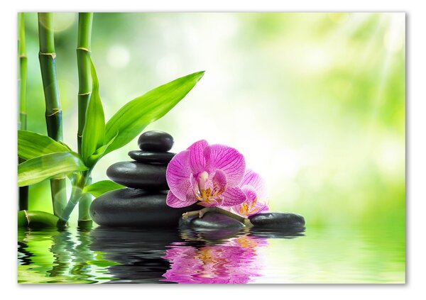 Fotoobraz na skle Orchidej osh-57168498
