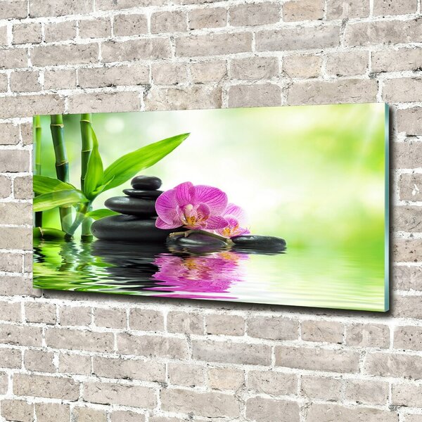 Fotoobraz na skle Orchidej osh-57168498