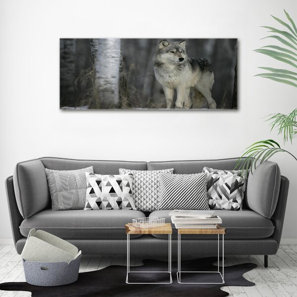Foto obraz canvas Šedý vlk oc-57875164