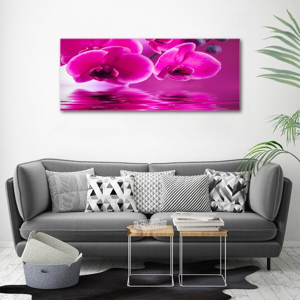 Foto obraz na plátně Orchidej oc-58002130