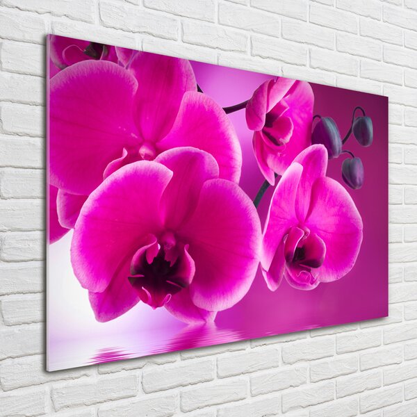 Fotoobraz na skle Orchidej osh-58002130