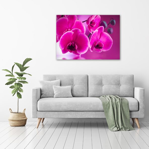 Foto obraz na plátně Orchidej oc-58002130