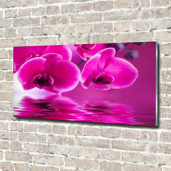 Fotoobraz na skle Orchidej osh-58002130