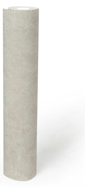 A.S. Création | Vliesová tapeta na zeď Beton 2 38639-5 | 0,53 x 10,05 m | béžová, krémová