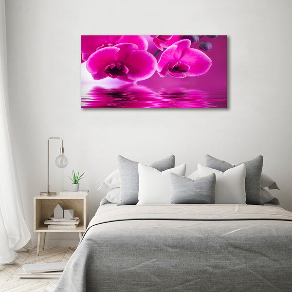 Foto obraz na plátně Orchidej oc-58002130